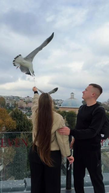 @volkovaaa02