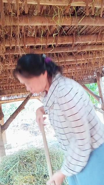 @toyakibarbontot