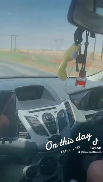 @🇿🇦🦎Quintin Petterson🦎🇿🇦