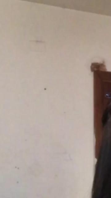 @Fanny Garrido