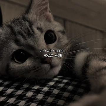 @ХХИКА
