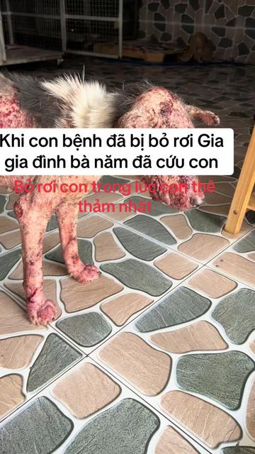 @yeuthuongchomeoba5
