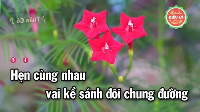@Mê ca hát