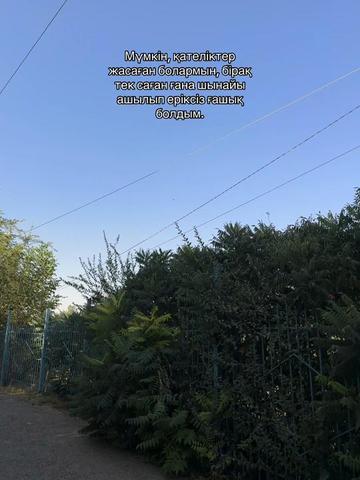 @🖤  