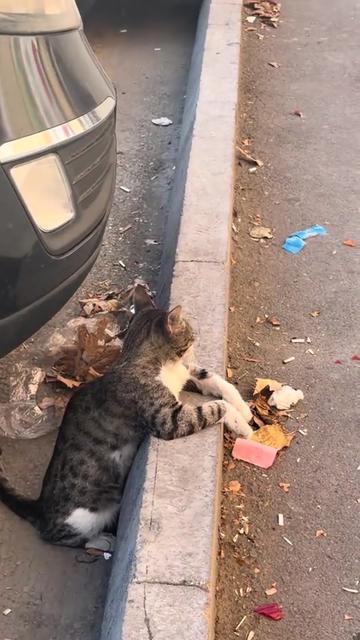 @Perdenin Ardındakiler