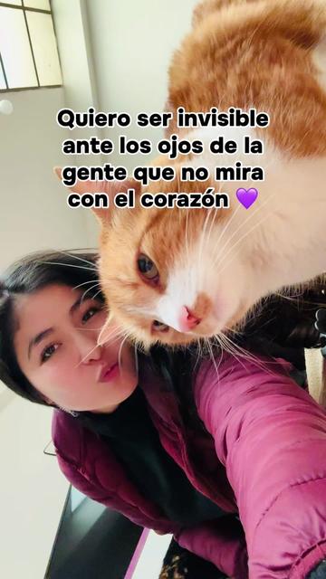 @Dulce Li♡