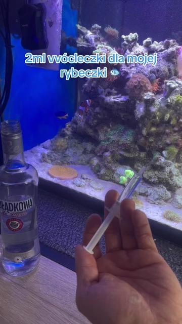 @Aquarista