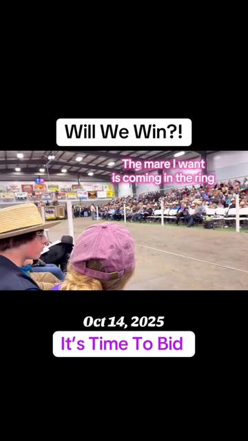 @Free Spirit Equestrian