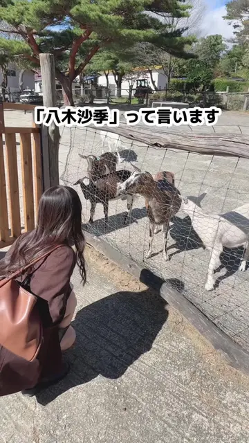@八木沙季