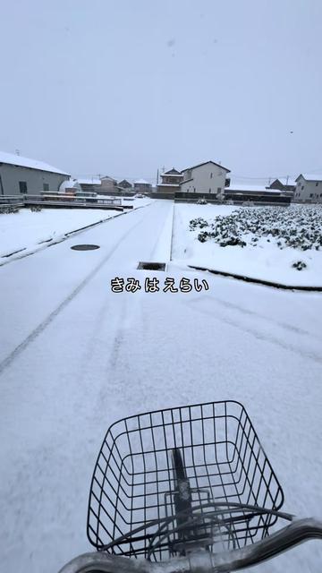@ダラー