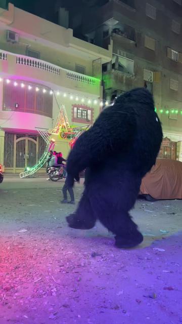 @بودا بتاع غوريلا🦍🔥