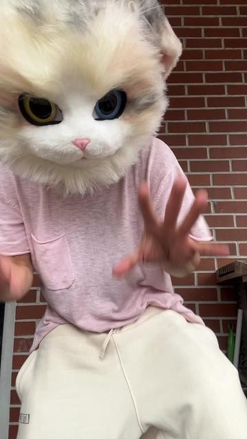 @The CaT 😼