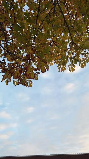 @Yevheniia🌹