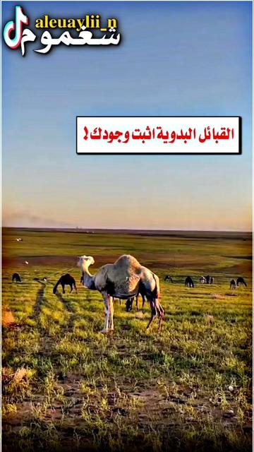 @شغموم