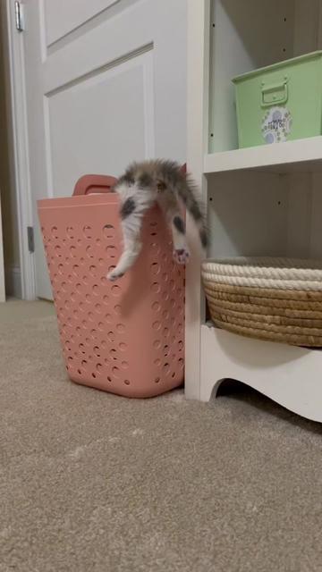 @WhatTheActualKaren