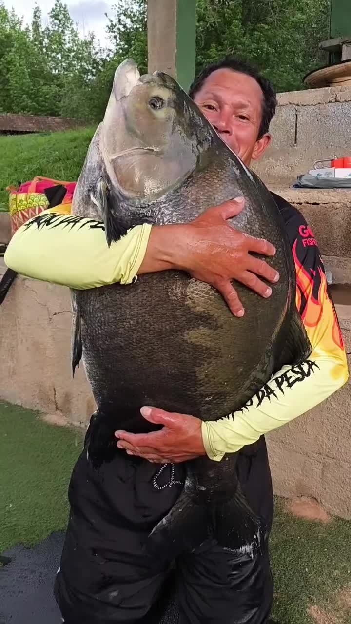 @Patrão da Pesca
