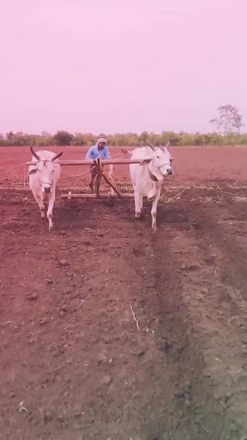 @Sai_Goalla1631