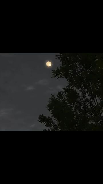 @𓆩♡𓆪