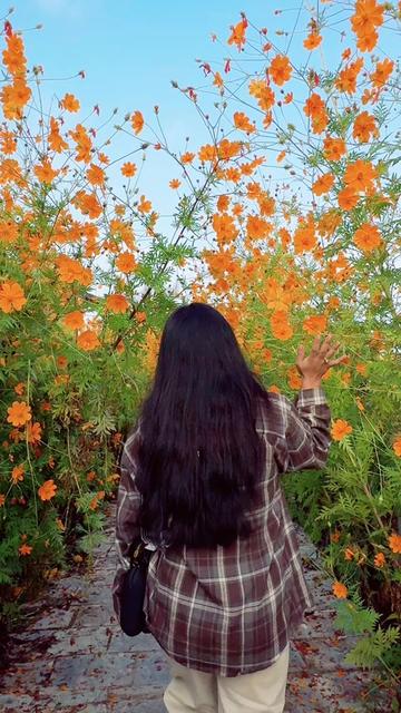 @Rupa Grg🌻🌻