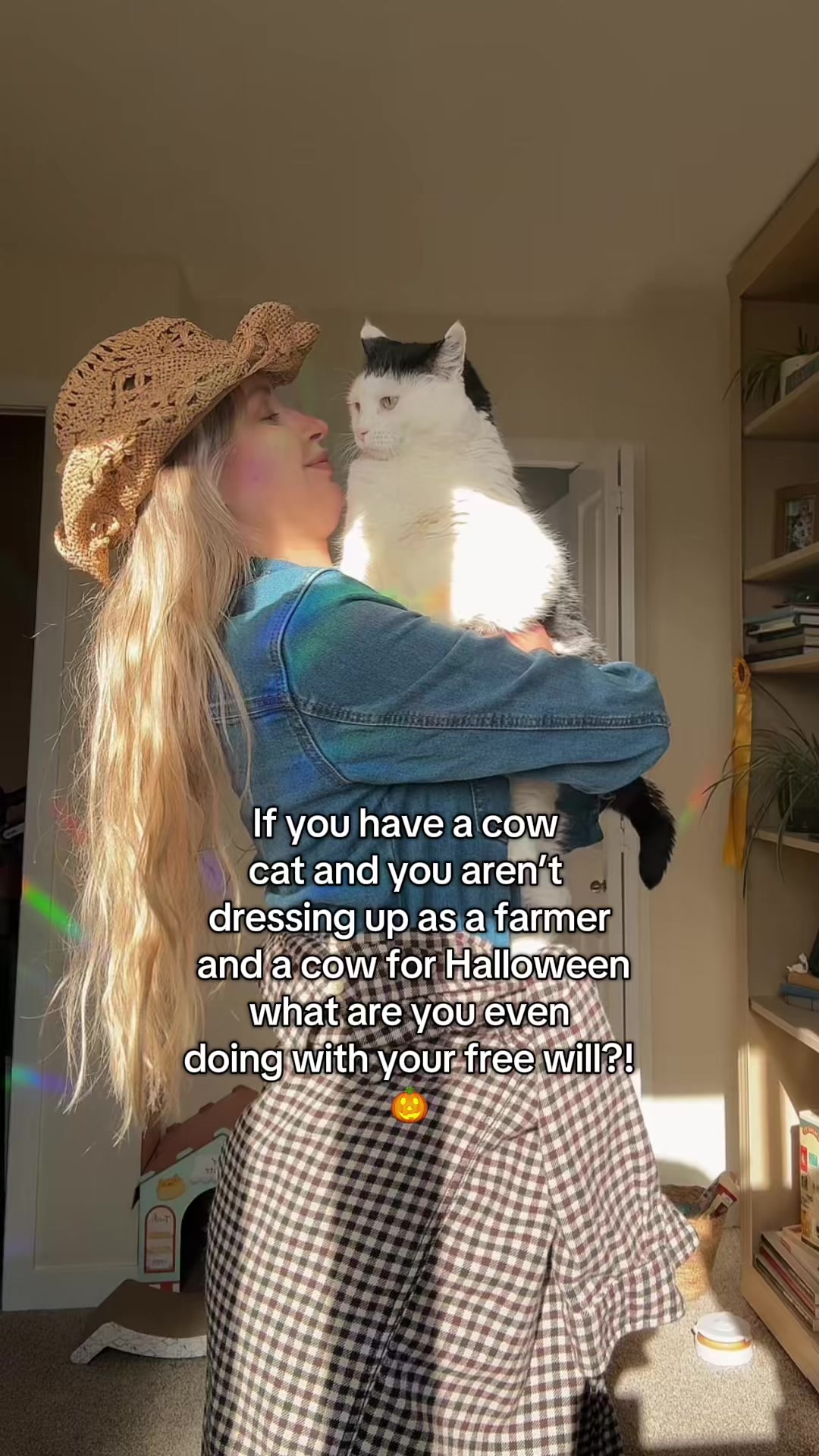 @poppytherescuecat_