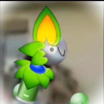 @🌈♾️ EMOJOKAT / KAT