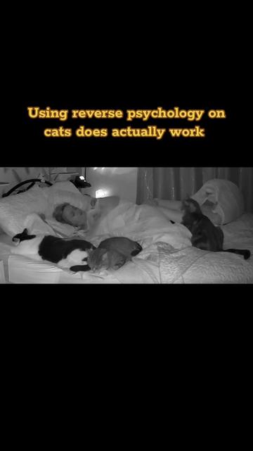 @romina.owned.by.cats