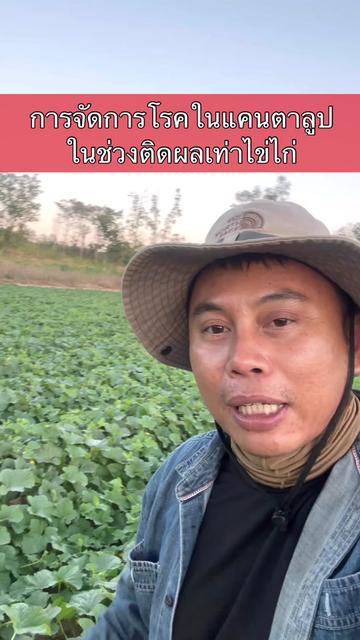 @โจ้ J35