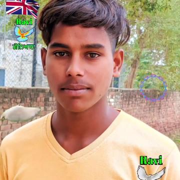 @Ravi Goniana