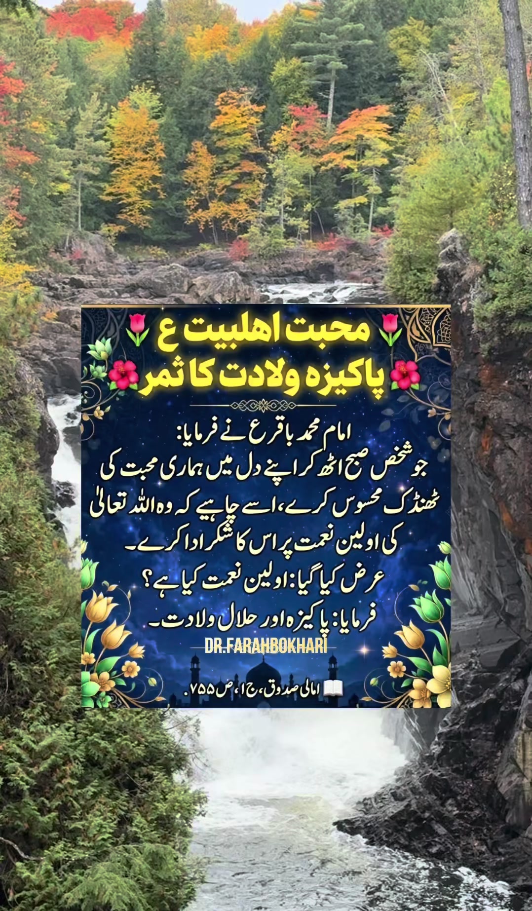 @dr.farahbokhari