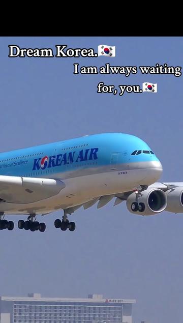 @Dream Korea.