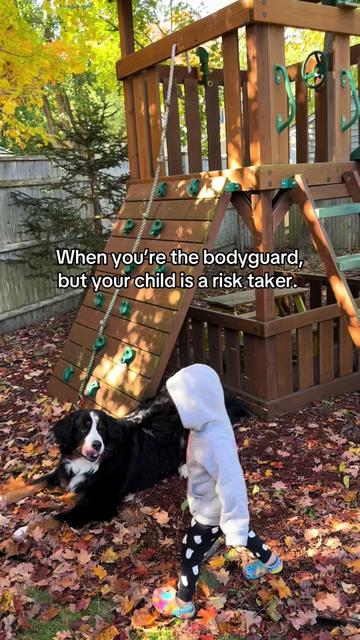 @Ivy the Berner