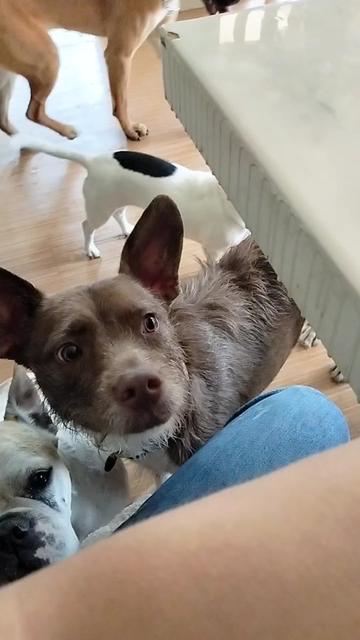 @Canbnb 🐶❤️