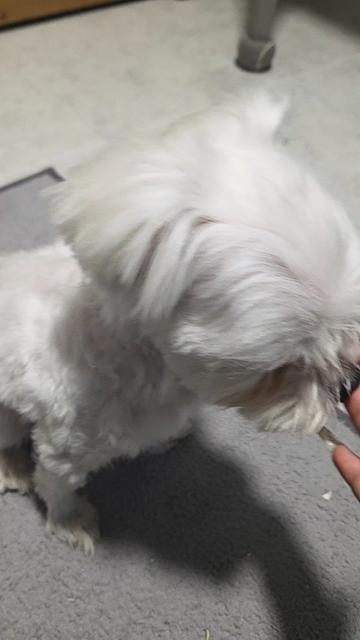 @๐ฐ๋๐ขnya