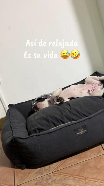 @Fran