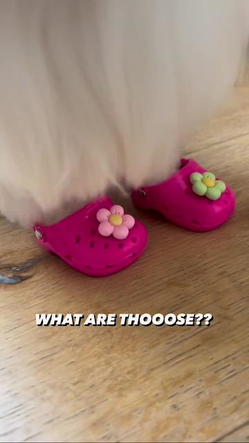 @mildred.the.maltese