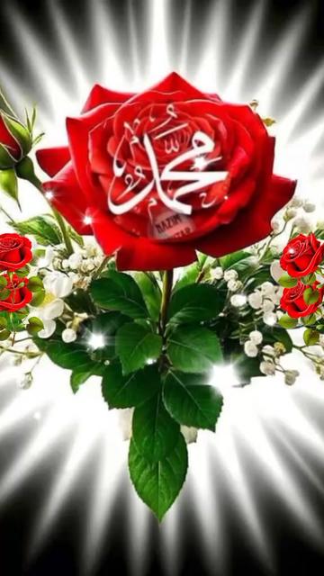 @rihanMalik8r