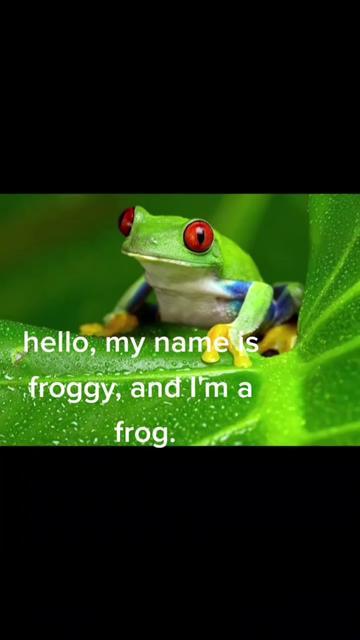 @a froggy