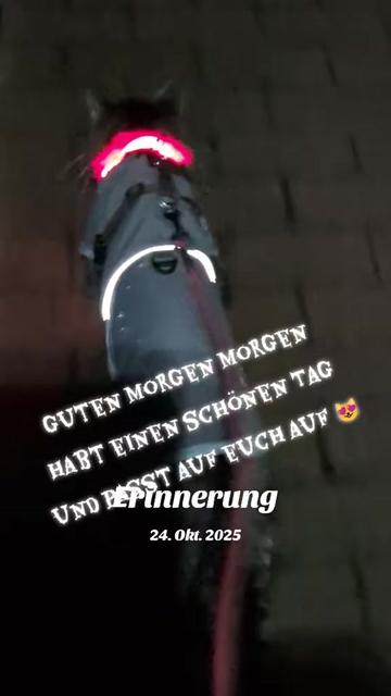@😻Katrin&Odin 😻Modi Muddi 😻