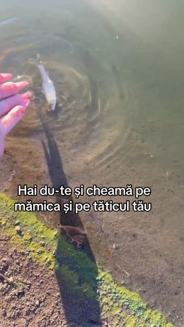 @odyy1991