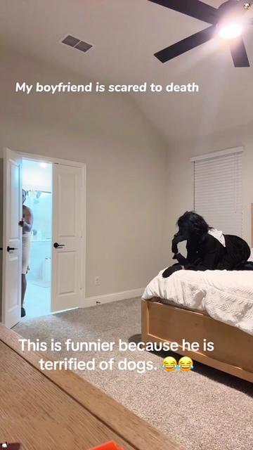 @lolmoments6802