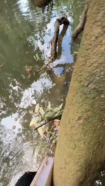 @Ragiljaya26