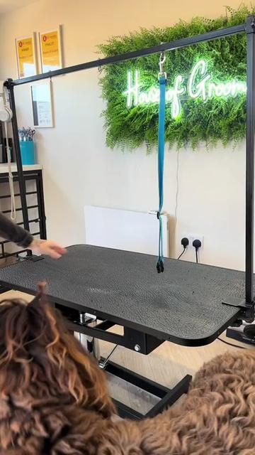@DogGrooming101