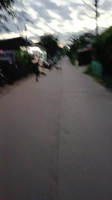 @pranee