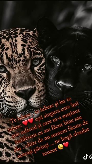 @🩵🐈 Barbiee 🐈🩵