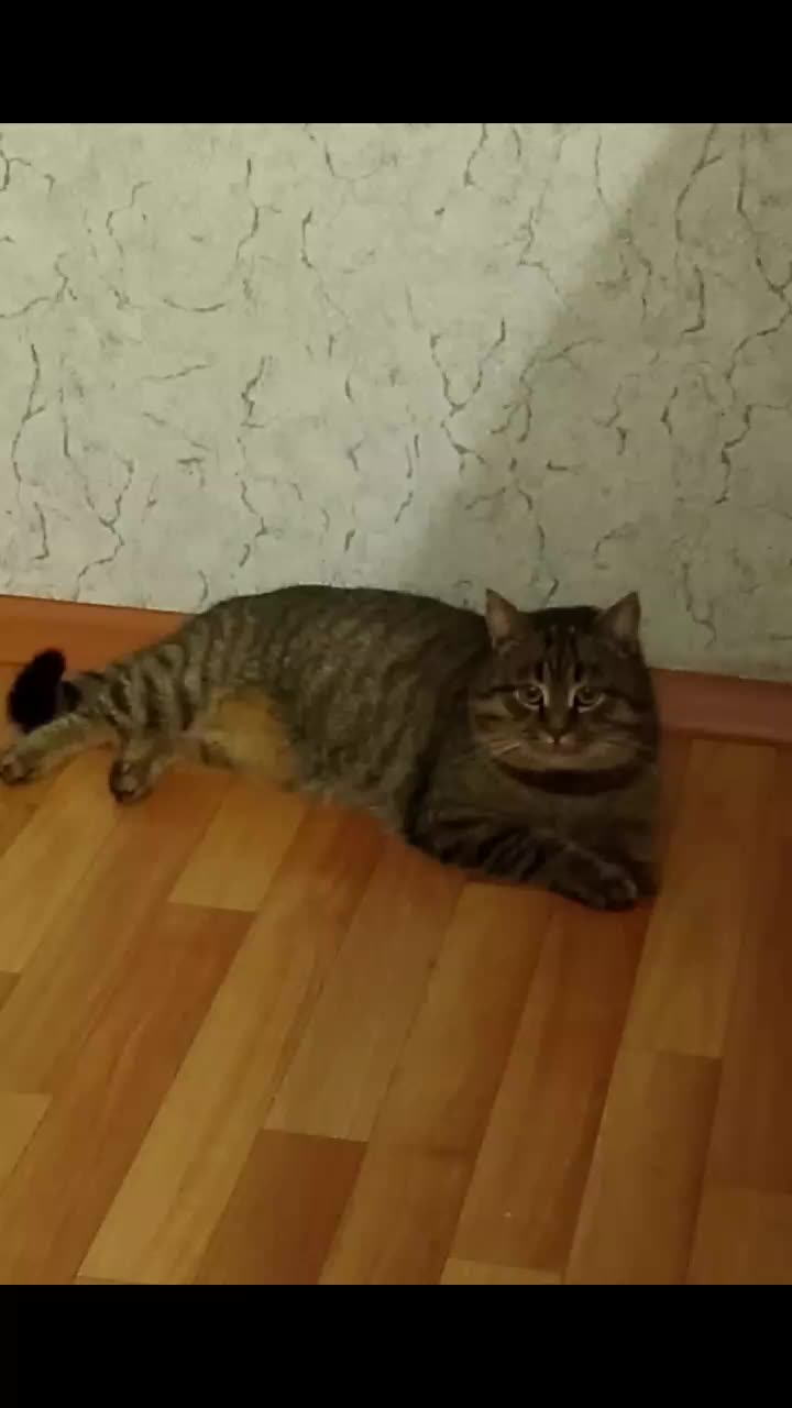 @Vladimir