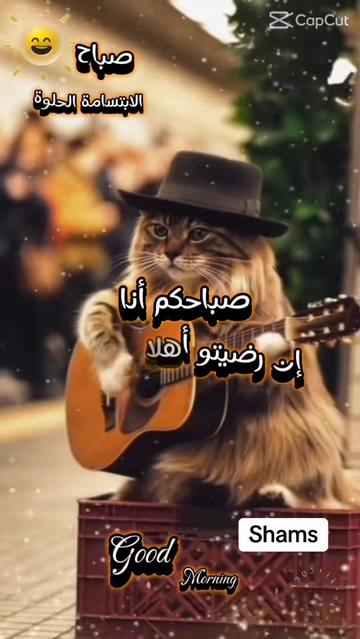 @Shams