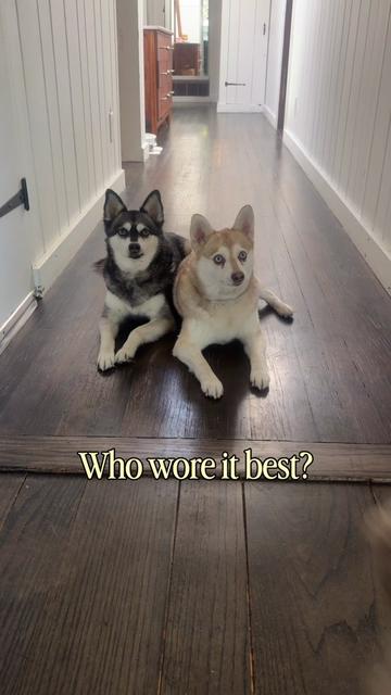@lifewithkleekai