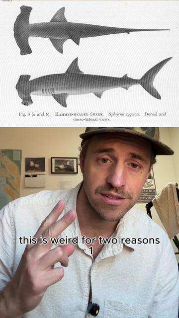 @Nature is Surreal