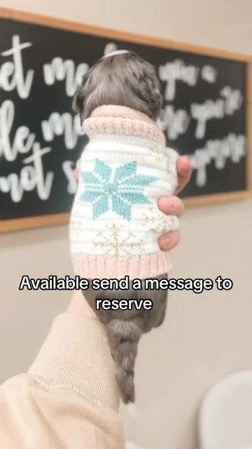 @uniquecanines