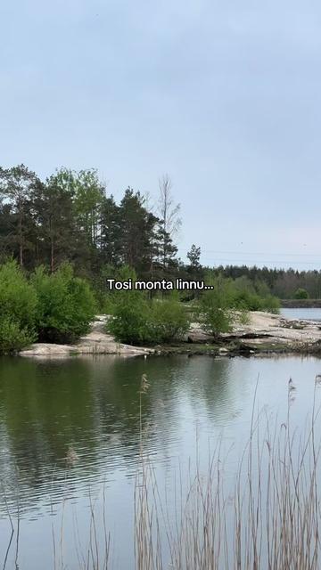 @alina